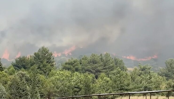 İzmir’in Foça ilçesinde orman yangını çıktı