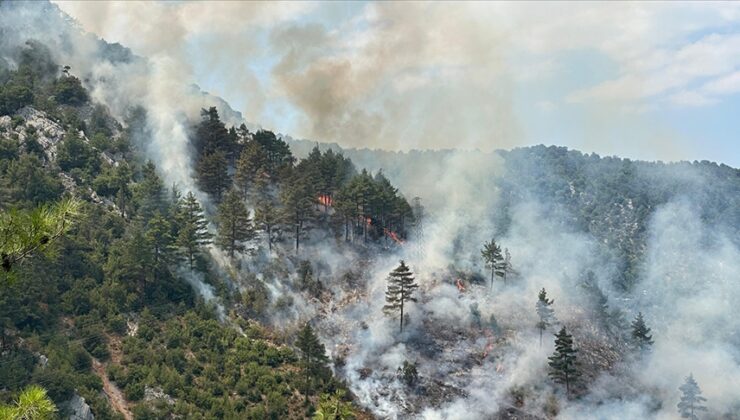 Adana’da çıkan orman yangınına müdahale ediliyor