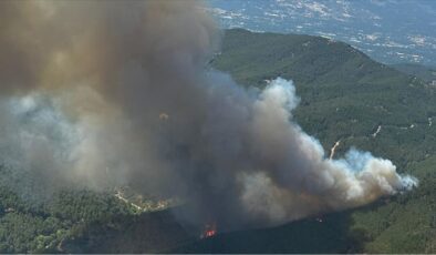 İzmir Bergama’da yangına müdahale ediliyor
