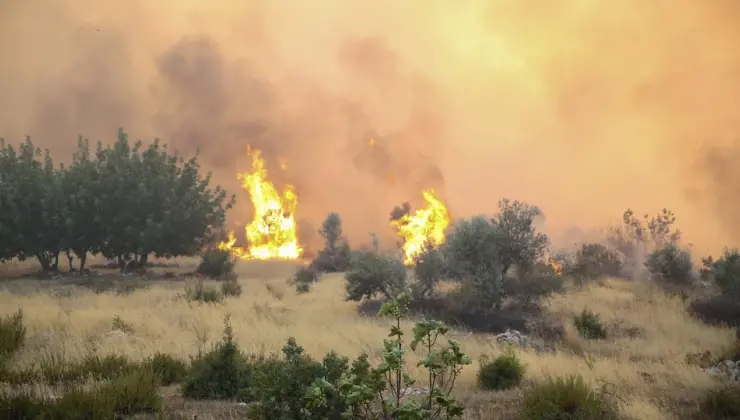Türkiye alevlerle mücadele ediyor: 3 ilde orman yangını…