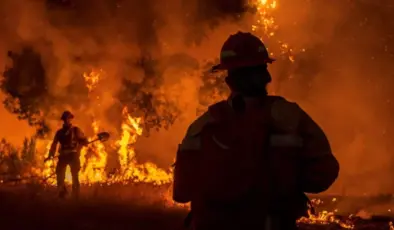 Orman yangınları 95 bin hektarlık alana yayıldı