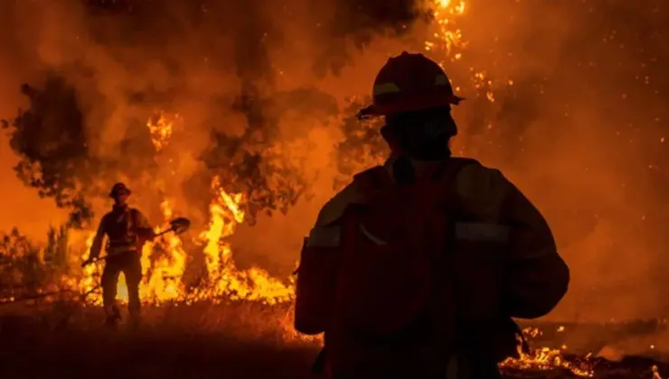 Orman yangınları 95 bin hektarlık alana yayıldı