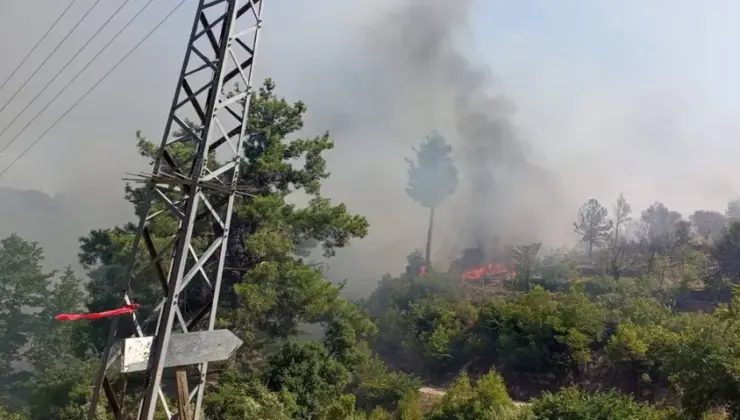 Muğla’da bir evde çıkan yangın ormana sıçradı