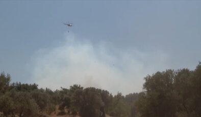 İzmir’in Menderes ilçesinde orman yangını çıktı