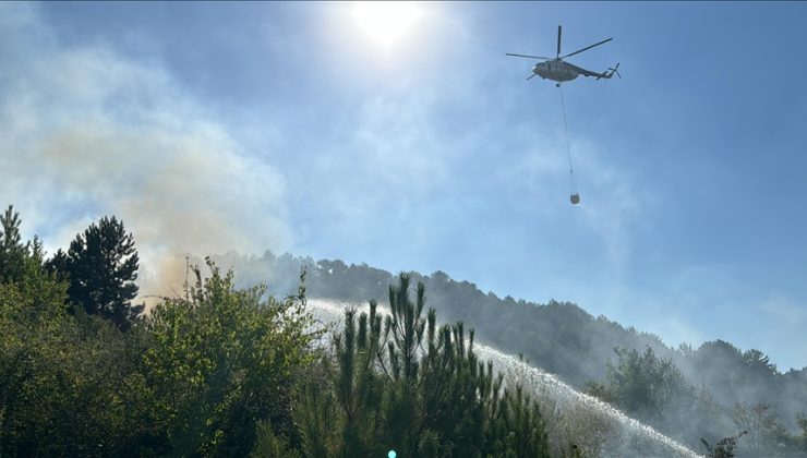 Kütahya’da orman yangını