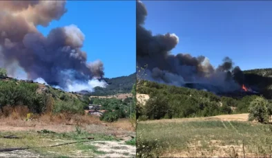 Bolu Göynük’te orman yangını! Havadan ve karadan müdahale sürüyor