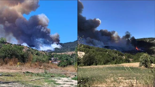 Bolu Göynük’te orman yangını! Havadan ve karadan müdahale sürüyor