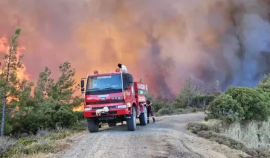 Çanakkale’de orman yangını: Tarihi yarımadada 2 bölge kapatıldı