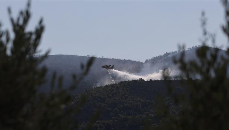 Yunanistan’da orman yangınları