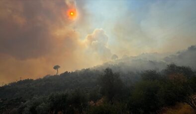 Aydın Germencik’te çıkan orman yangınına müdahale ediliyor