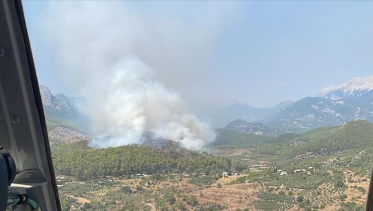 Antalya’nın Serik ilçesinde orman yangını çıktı