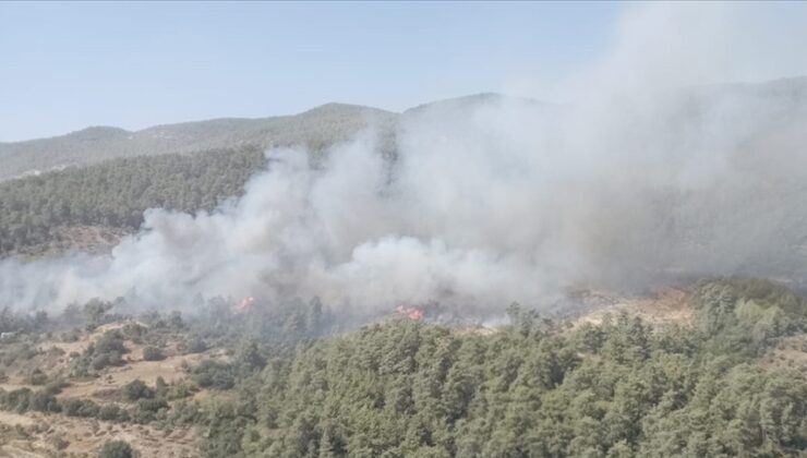 Muğla’nın Milas ilçesinde çıkan orman yangınına müdahale ediliyor