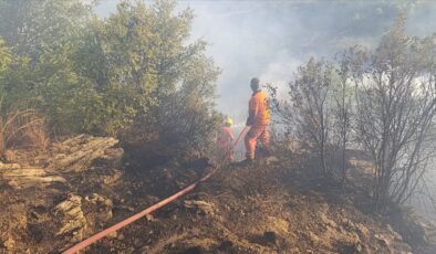 Antalya’da orman yangını