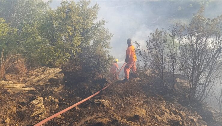 Antalya’da orman yangını