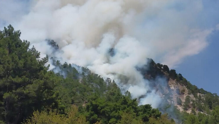 Muğla, İzmir ve Antalya’da orman yangını