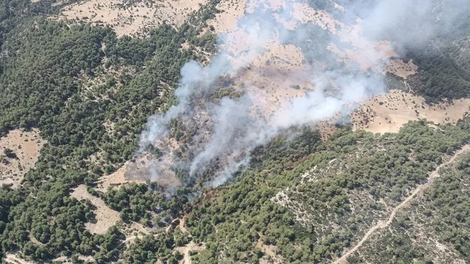 Antalya’nın Kaş ilçesinde orman yangını çıktı