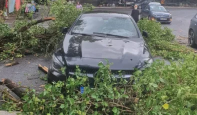 Sarıyer’de yağış ve rüzgar nedeniyle seyir halindeki iki aracın üzerine ağaç devrildi