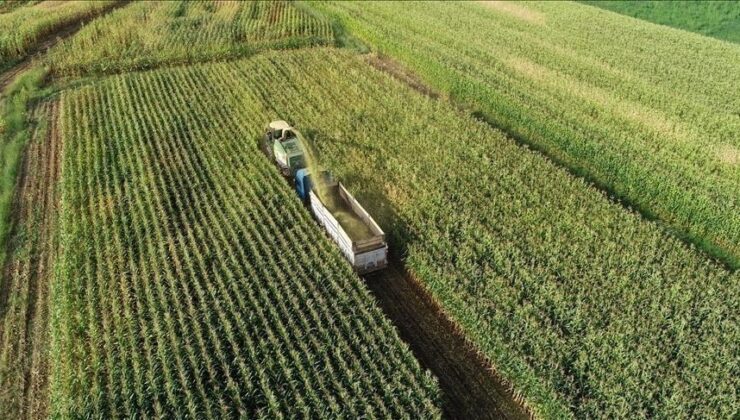 Tarımda verimliliği artıracak “üretim planlaması” OVP’de