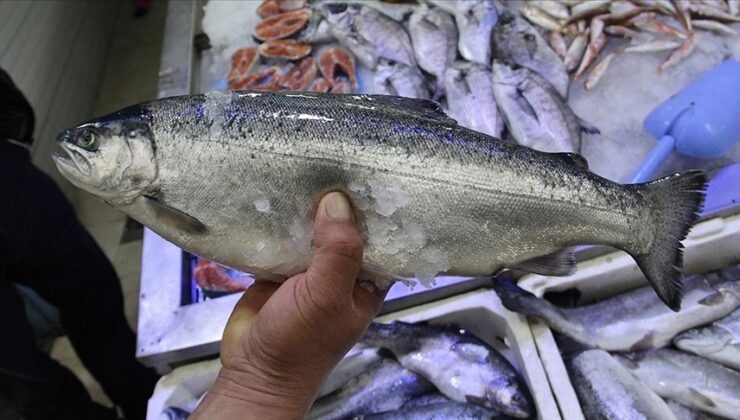 Doğu Karadeniz’in 8 aylık Türk somonu ihracatı yüzde 10 arttı